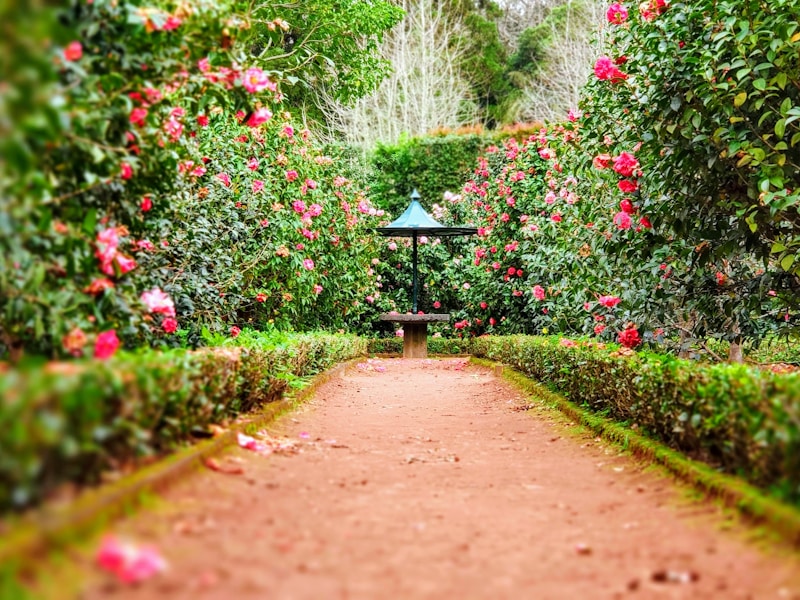 Botanical Gardens Worth Traveling For: A Global Guide
