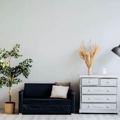 Home & Decor