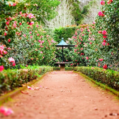 Nature & Travel